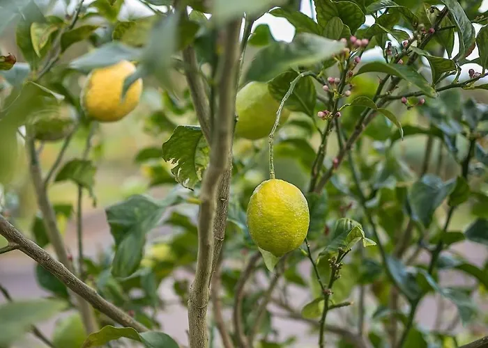 Casa vacanze Casa Da Amparo *